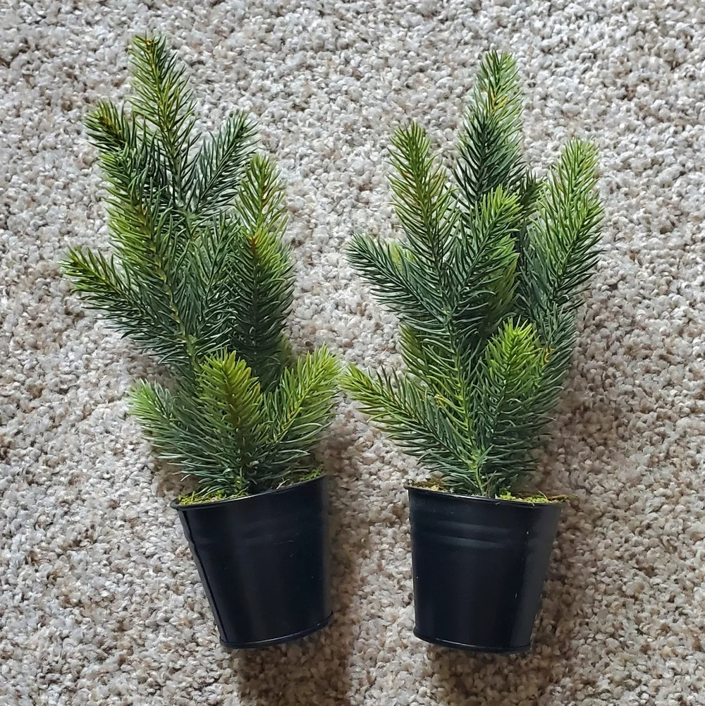 Target Green Artificial Mini Pine Plant Duo in Black Pots